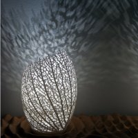 Природный дизайн ламп