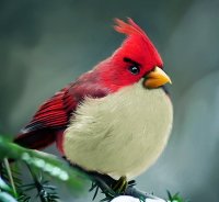 Angry Birds существуют?