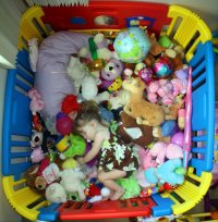 Вредны ли детям мягкие игрушки?