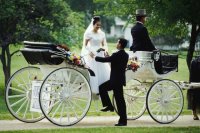 Тематическая свадьба: за и против