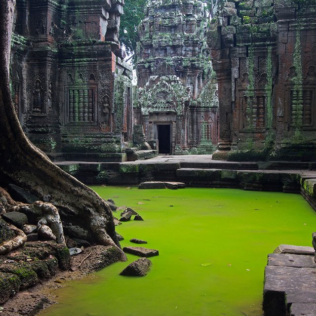 Храм Та Пром, Ангкор, Камбоджа
