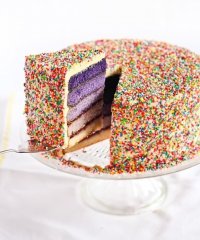 Торт «Фиолетовый американец»
