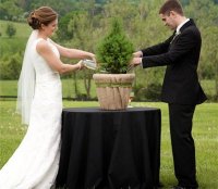 Деревянная свадьба: отмечаем пятую годовщину совместной жизни
