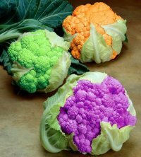 Настоящая цветная капуста