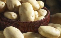 Как выбирать молодой картофель?