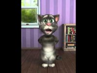 Знаменитый хит Michel Telo «Nosa Nosa» в исполнении кота