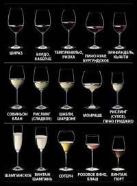 Виды бокалов для вина