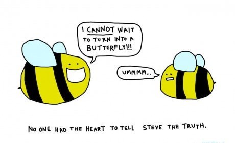 Так разбились мечты пчелки Стива