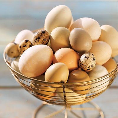 Яйца для здорового образа жизни