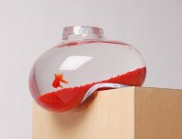 Необычный дизайн аквариума