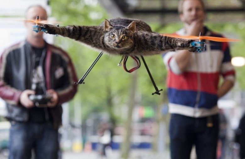 Летающий кот с моторчиками
