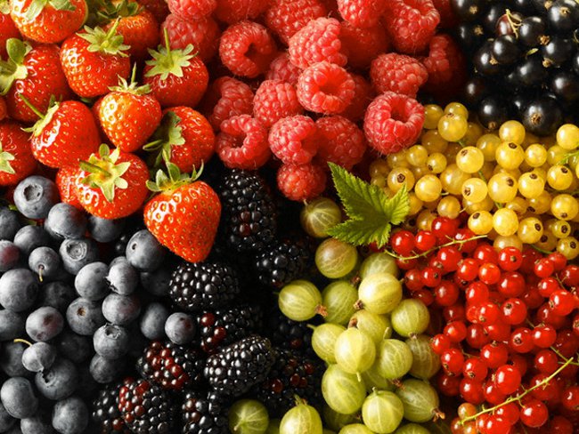 Лечебные свойства ягод