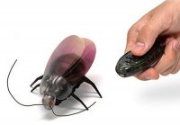 Тараканы из будущего