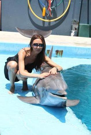 Виктория Бекхэм восхищается дельфинами