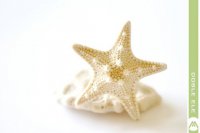 Кольцо с морской звездой