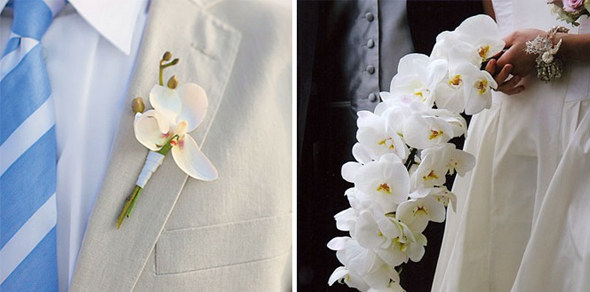 Сочетание бутоньерки жениха и букета невесты: белые орхидеи