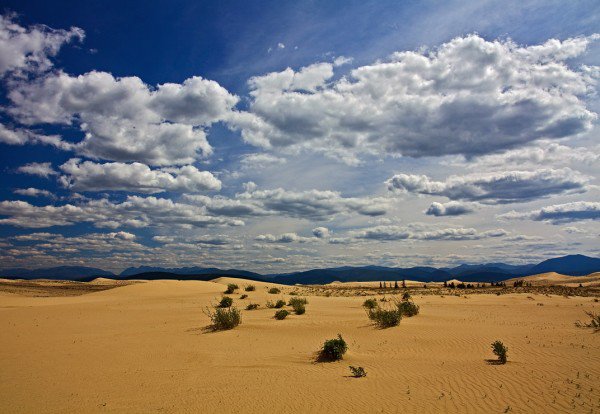 Карта пустынь: Чарские пески Забайкалья