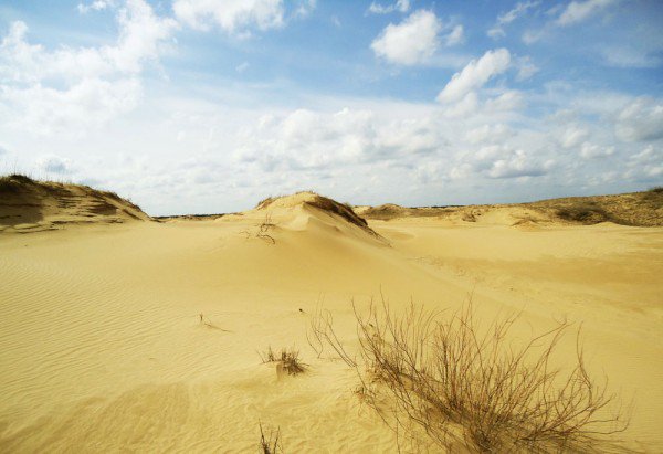 Карта пустынь: Алешковские пески