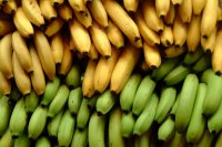 Разгрузочный день на бананах