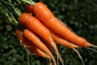 Мифы и факты: улучшает ли морковь зрение?