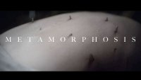 Короткометражка «Метаморфозы»