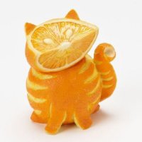 Апельсиновый котик