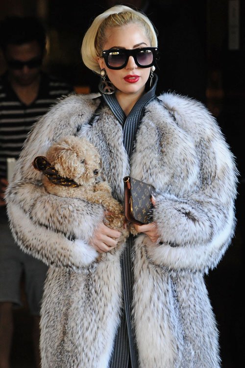 Леди Гага ответила на нападки PETA