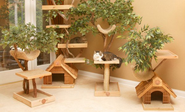 Симпатичные домики для кошек