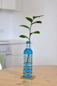 Очень простой способ превратить бутылку в вазу