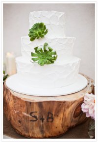 Белый свадебный торт с суккулентами