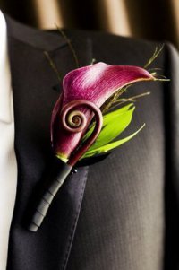 Бутоньерка жениха из каллы: фиолетовый и цветы