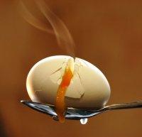 Несколько способов похудеть: яйца