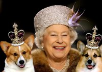 У королевы Елизаветы II умерла любимая собачка