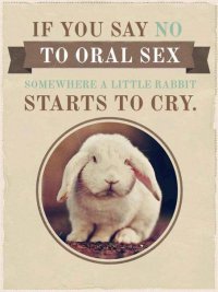 Оральный секс и плачущий кролик?