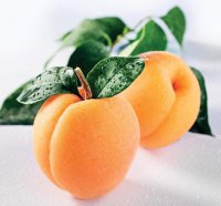 К чему снятся абрикосы