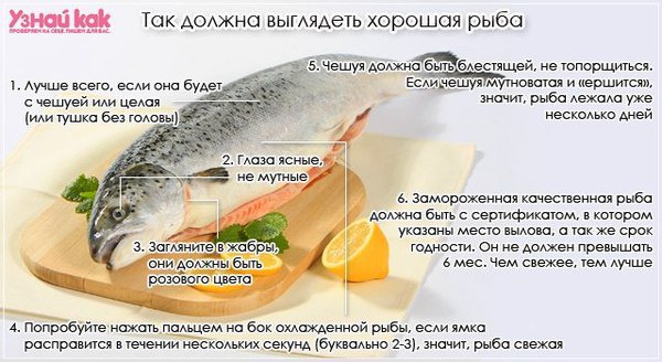 Как выбрать хорошую свежую рыбу