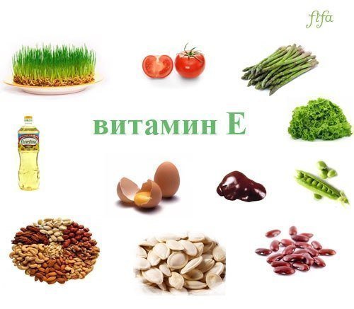 В каких продуктах находится витамин Е