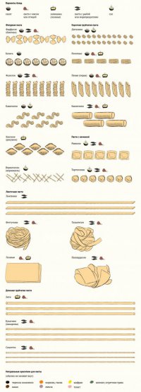 Что готовят из различных видов пасты