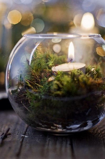 Идея праздничного украшения свечами: свеча во флорариуме