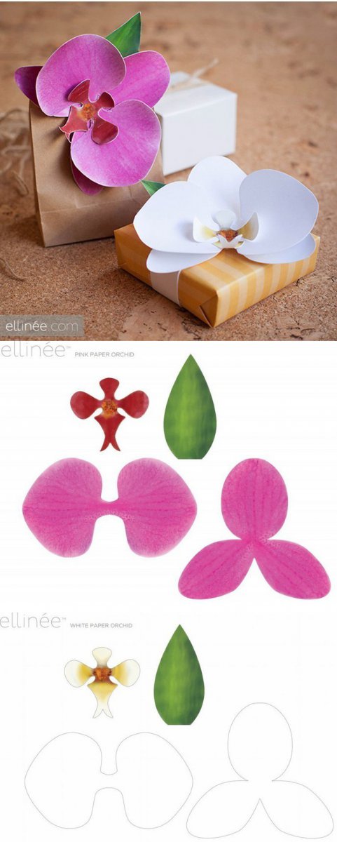 Оригинальная упаковка подарка в виде орхидеи