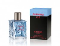 Новогодний подарок любимому: Burning Ice Iceberg