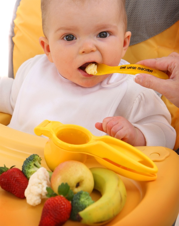 Как вводить твердую пищу в рацион ребенка: 6-8 месяцев