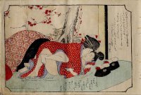 Сексуальные традиции Японии: шибари