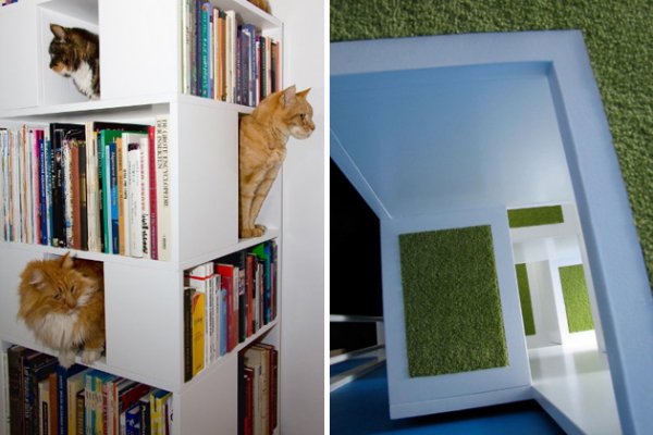 CatCase: книжный шкаф или кошкин дом?
