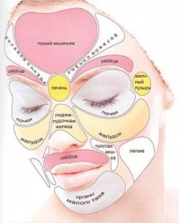 Какие болезни написаны у вас на лице?