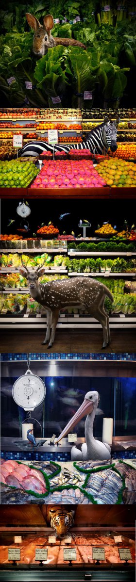 Животные в супермаркете