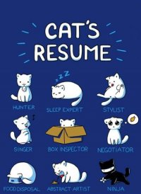 Cat`s Resume, или кто ваш кот на самом деле?