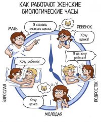 Как работают женские биологические часы