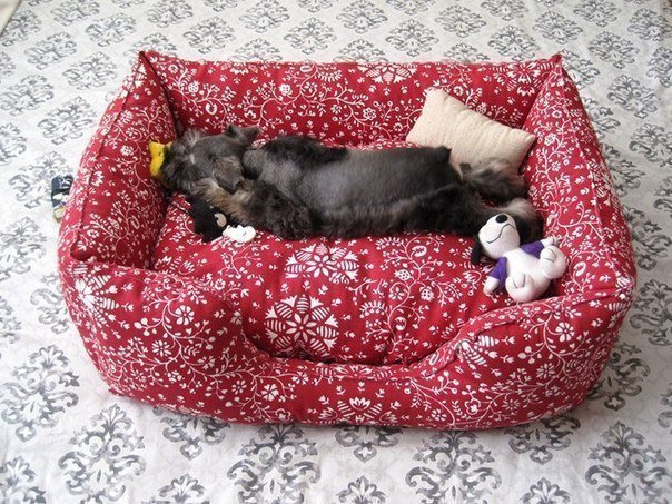 Симпатичный диванчик для вашей собаки или кошки своими руками