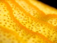 Как можно использовать апельсиновую кожуру
